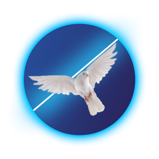 cropped-logo-medvedev-site-1.png